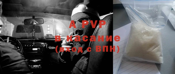индика Алзамай