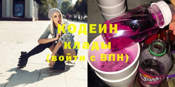индика Алзамай