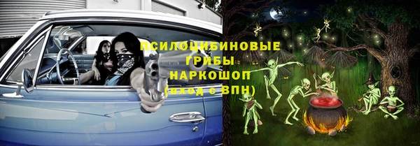 МДПВ Алексин