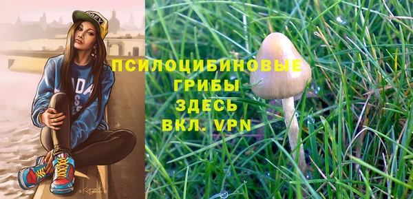 индика Алзамай