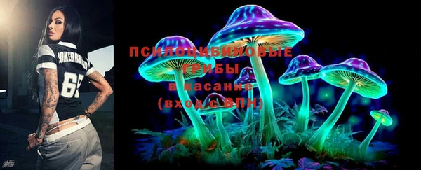 индика Алзамай