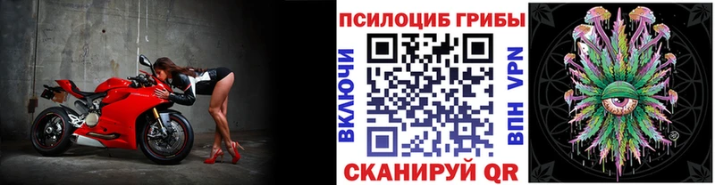 МЕГА Тара Галлюциногенные грибы мухоморы