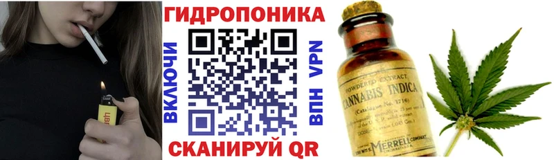 Конопля семена  где купить   Тара 